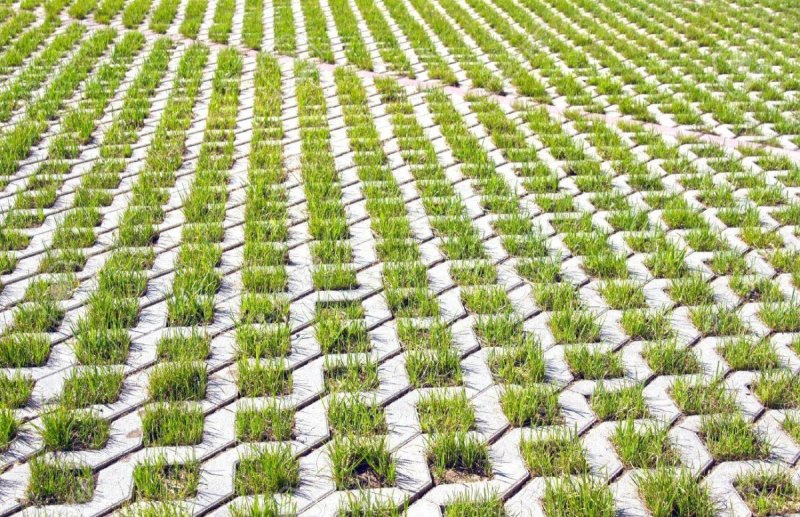 Экопарковка газонная решетка бетонная