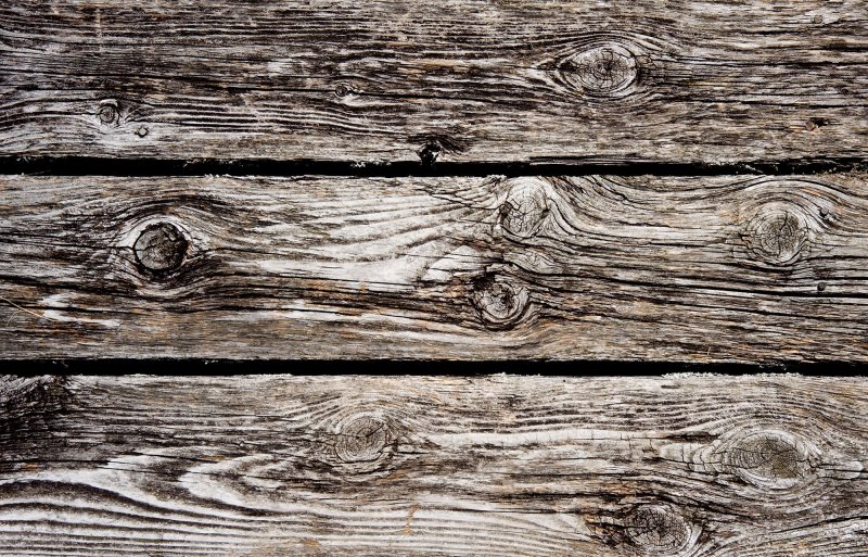 Фактура дерева