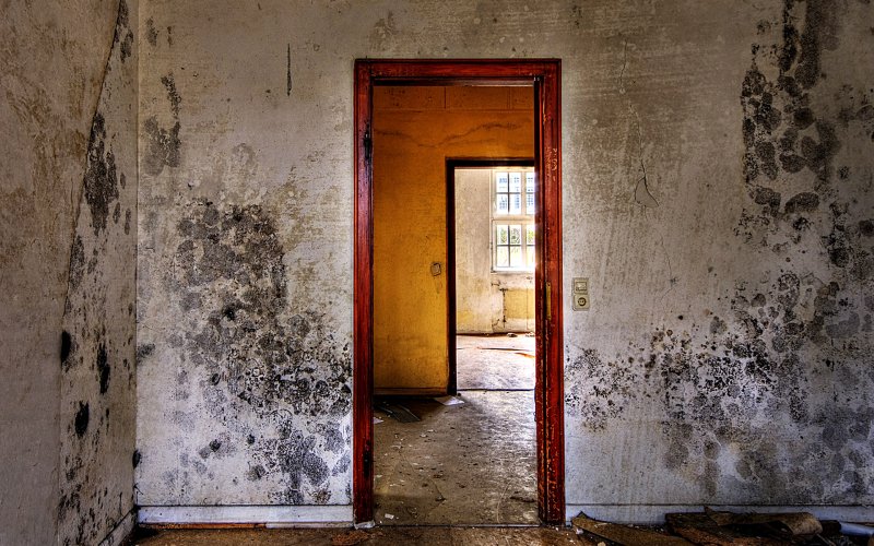 Обшарпанные стены