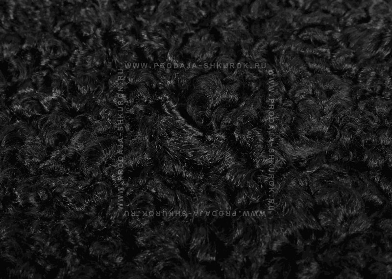 Каракуль черный