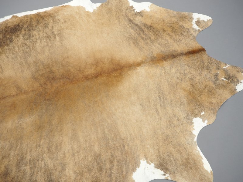 Мездра шкуры