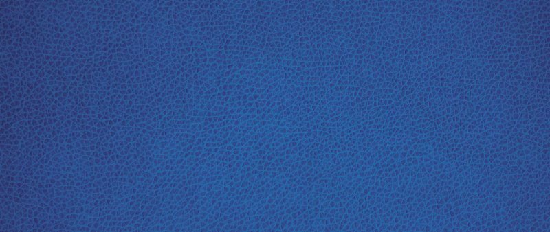 Темно синяя кожа