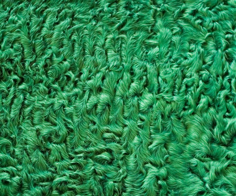 Зеленый каракуль