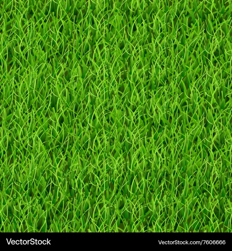 Газон текстура бесшовная