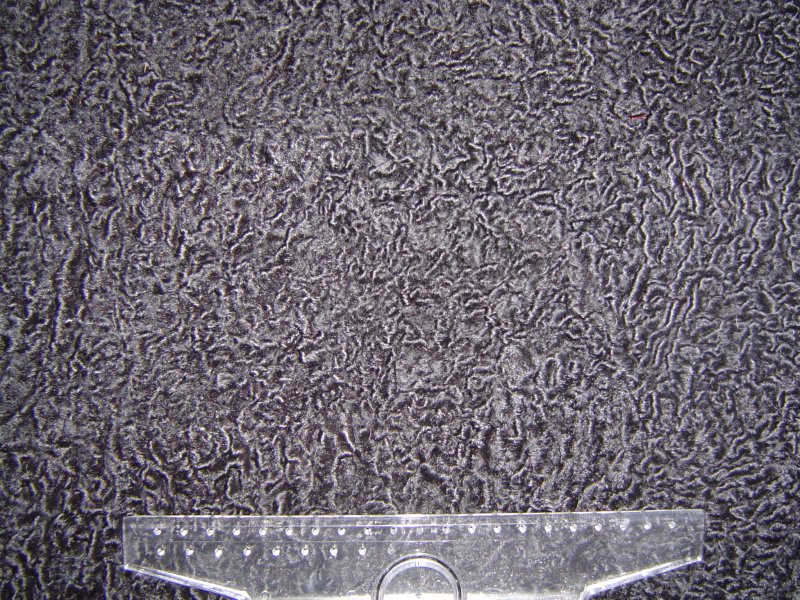 Каракуль текстура