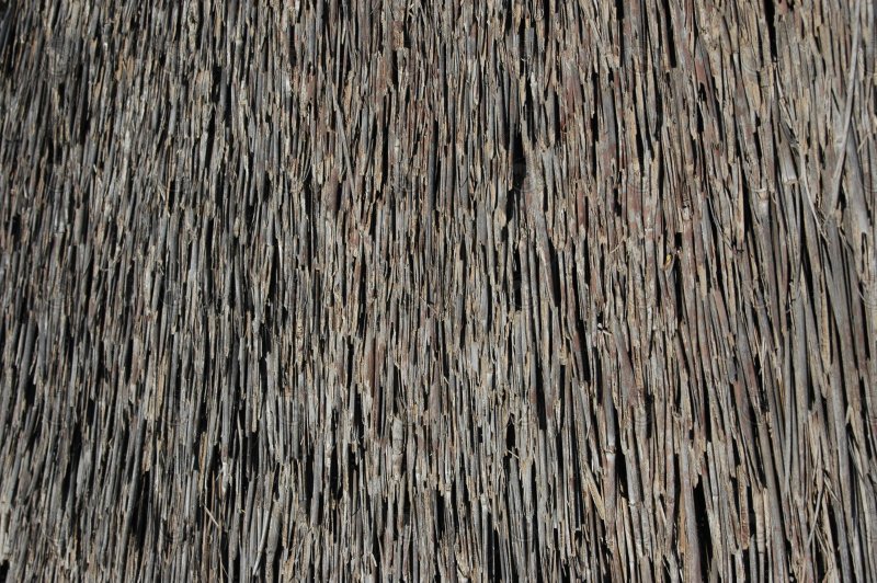 Камышовая крыша текстура