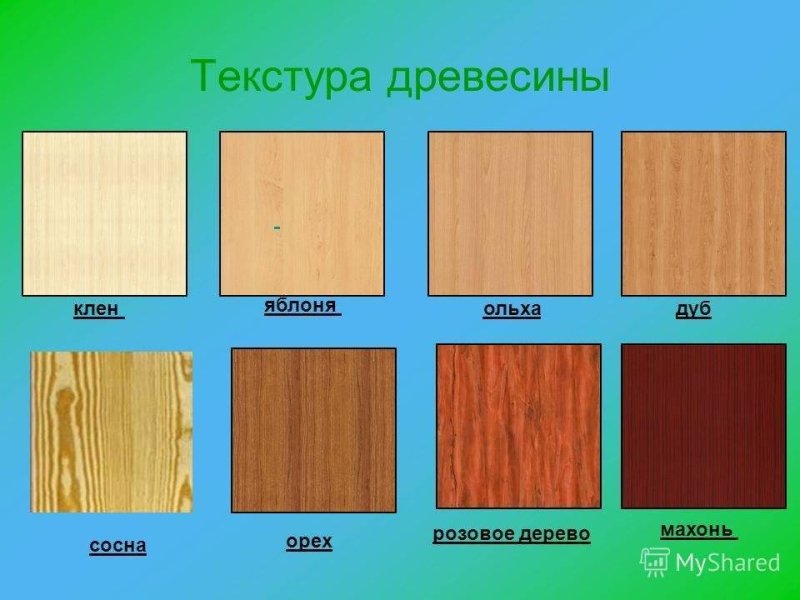 Морилка Sayerlack XM 8000