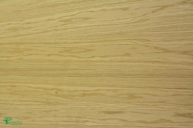 Вудсток шпон Файн лайн орех 199 DCW