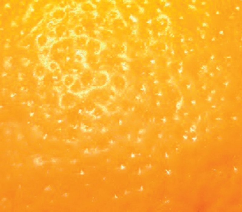 Фактура апельсиновая корка