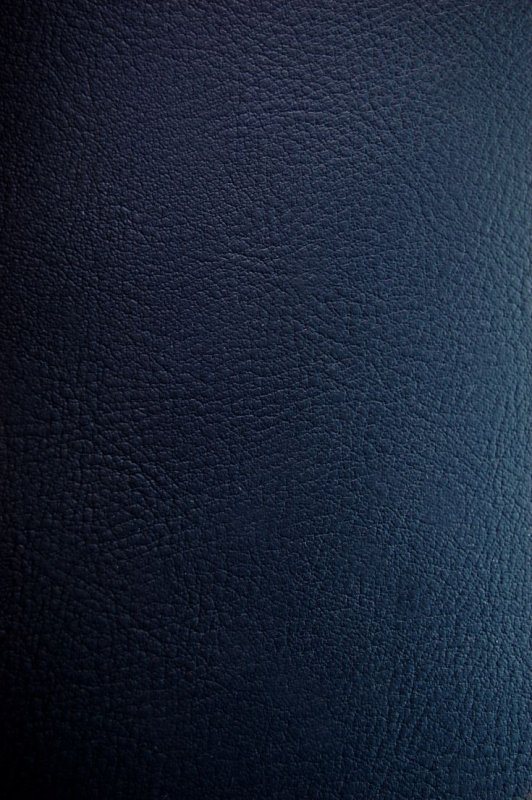 Текстура кожи