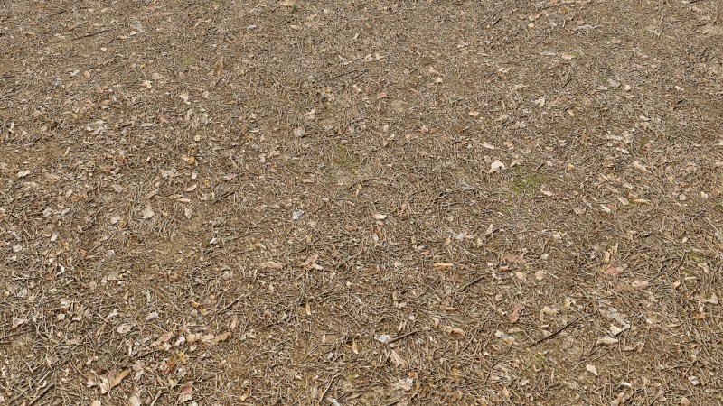 Текстура грунта бесшовная