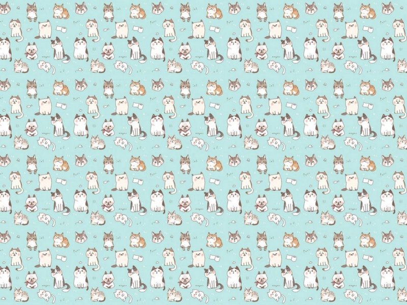 Обои с котиками