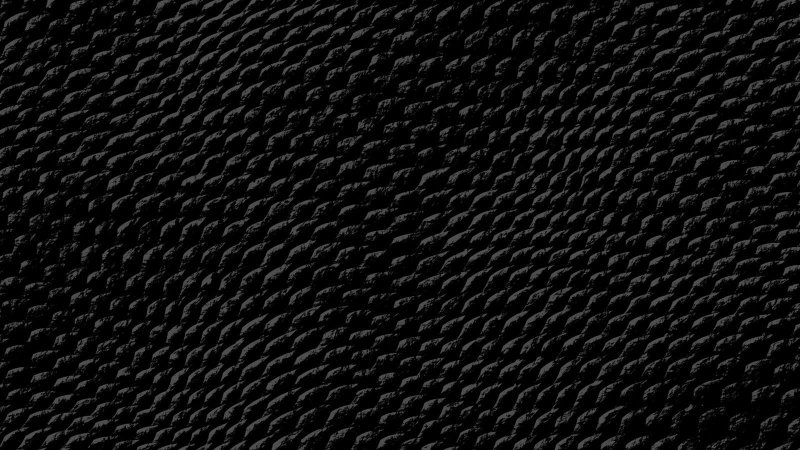 Черная змеиная кожа