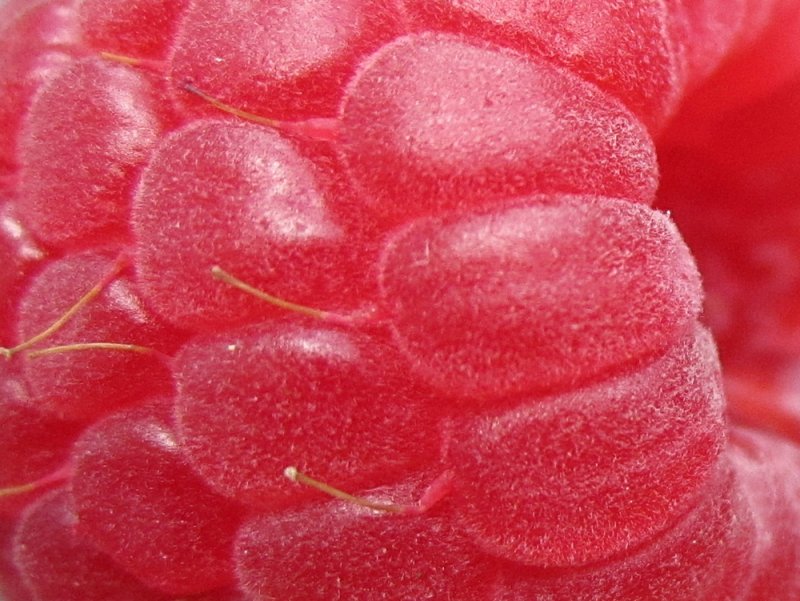 Текстура малины