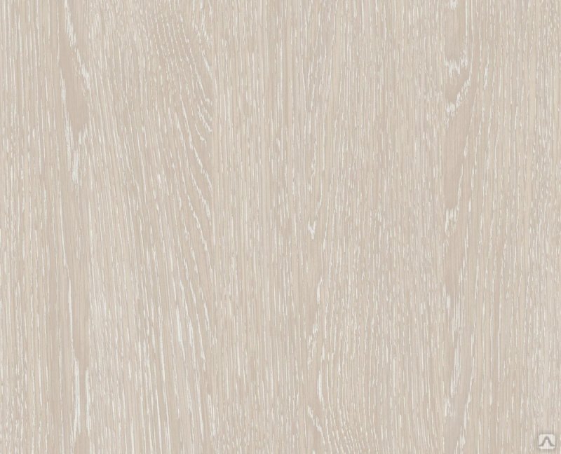 Увадрев дуб Атланта u2105