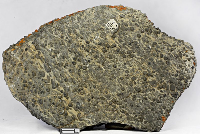 Доломит оолитовый