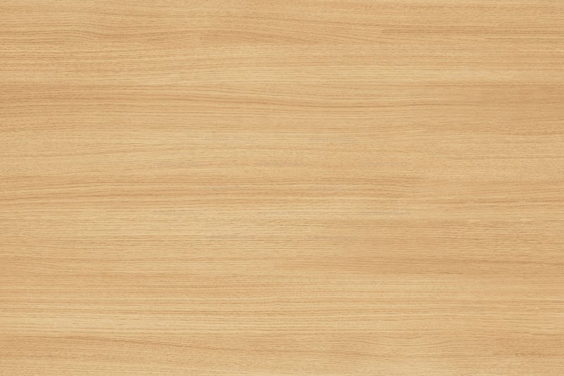 Вишня Верона h1615 st9