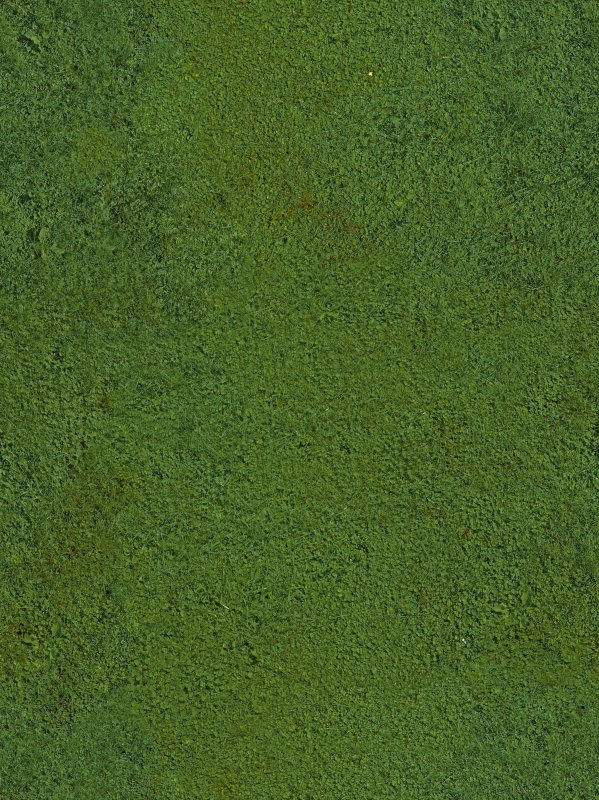 Газон текстура бесшовная