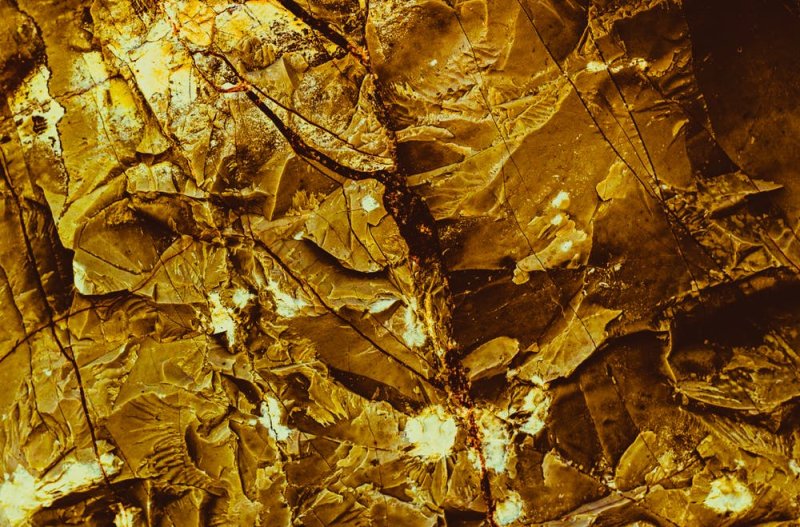 Золотая жила в скале