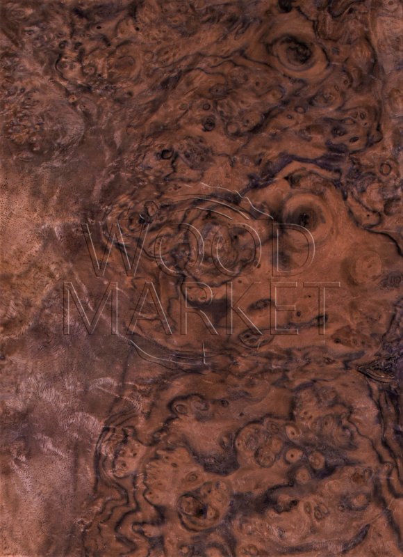 Шпон Капа американского ореха