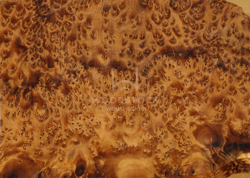 Карельская береза древесина шпон