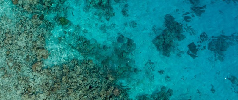 Морское дно вид сверху