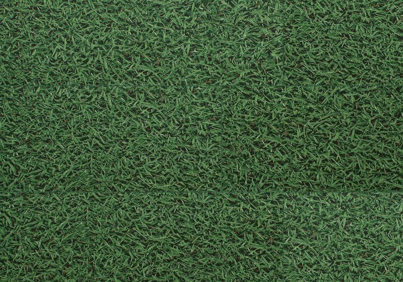 Текстура травы