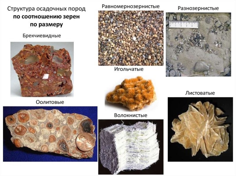 Структура осадочных горных пород