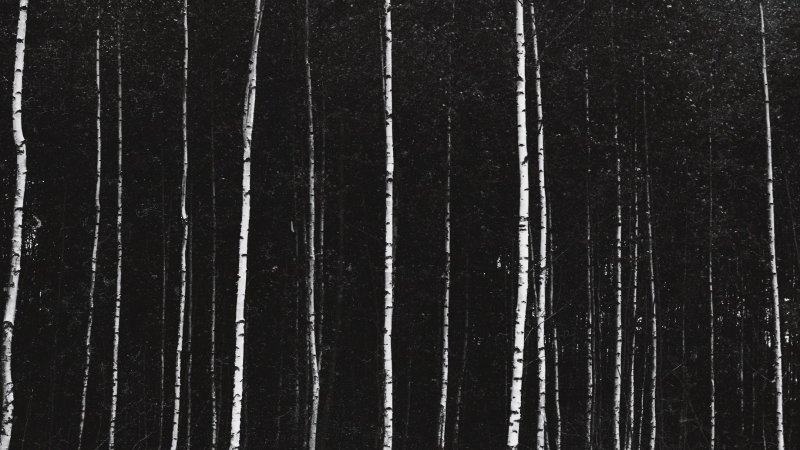 Текстура пленки