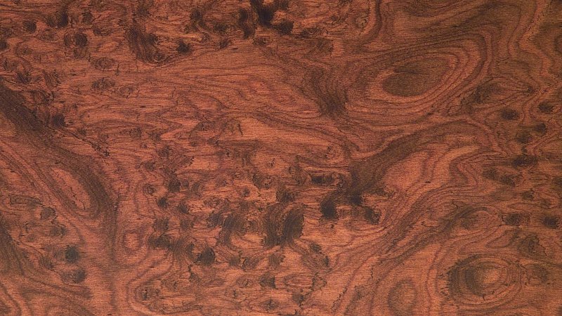 Корень тополя шпон