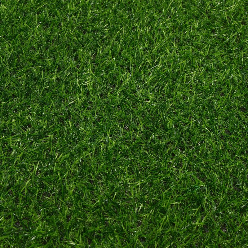 Райграс семена газона