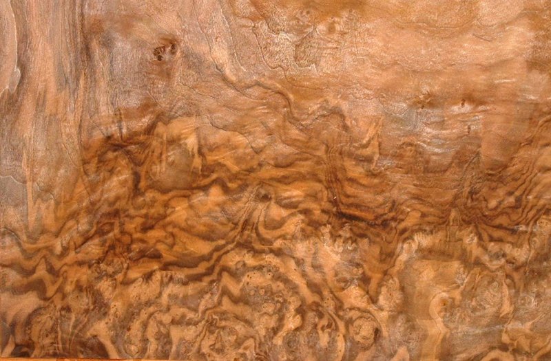 Карельская береза древесина шпон