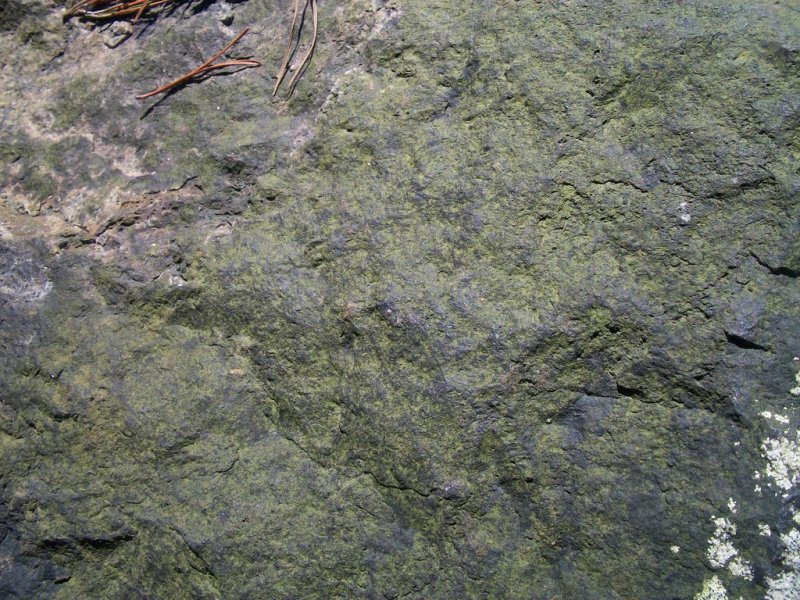 Камень с мхом фактура