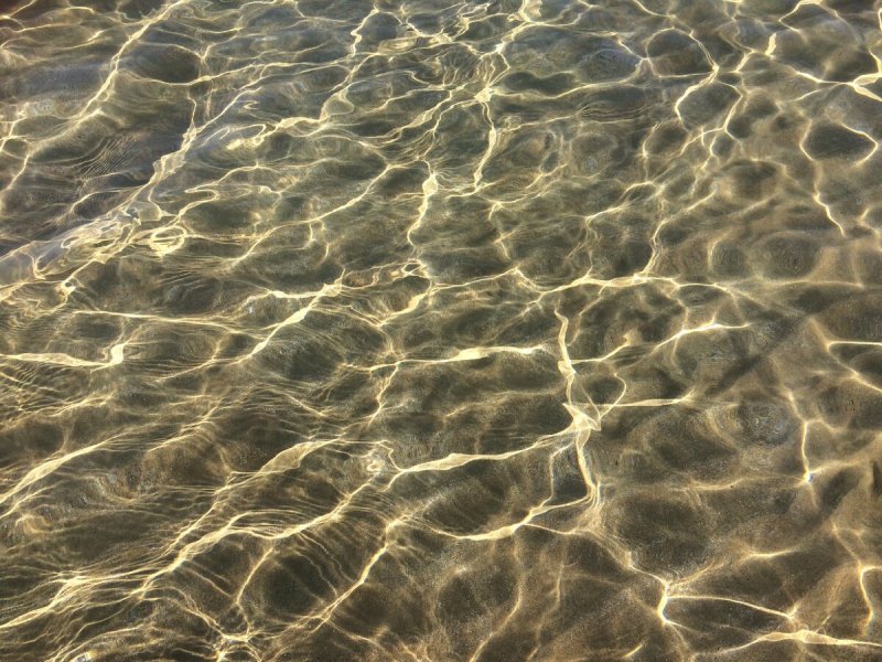 Песчаное дно