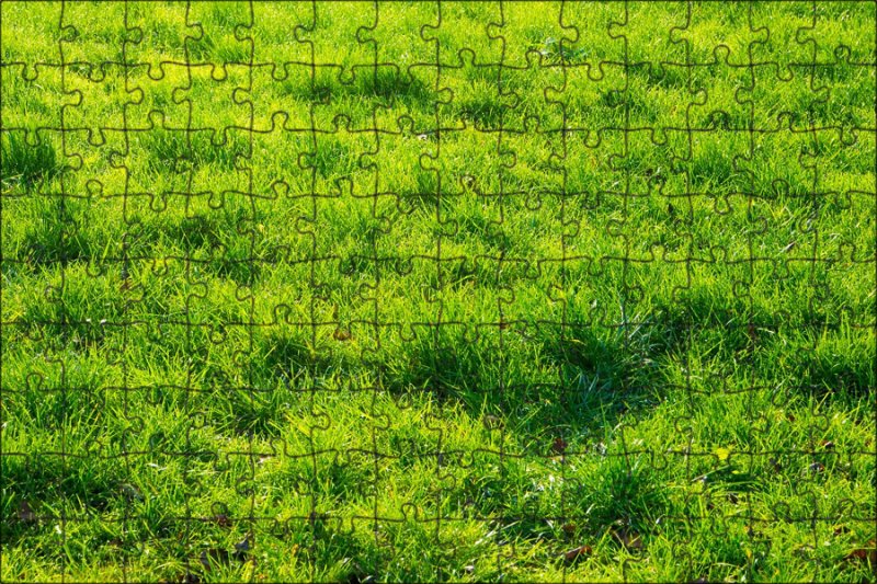 Газон текстура сбоку