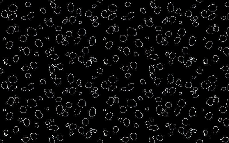 101 Dalmatians фон