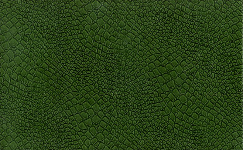 Зеленая кожа крокодила