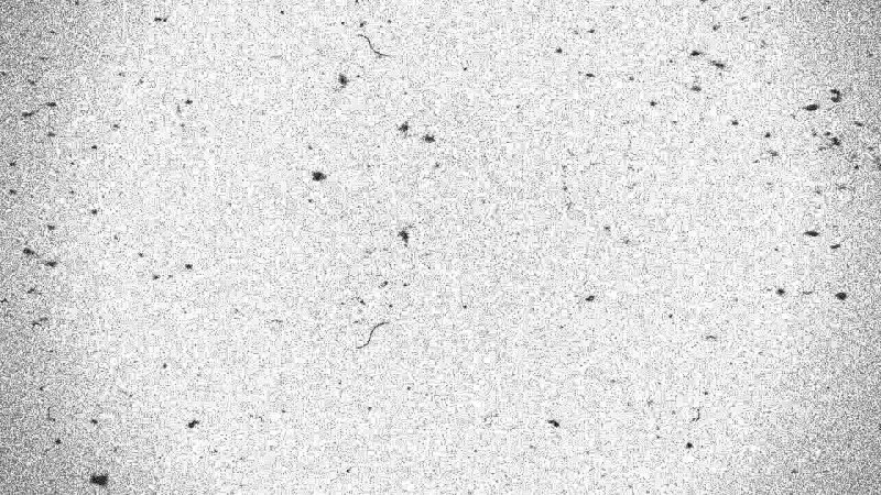 Фильтр зернистость