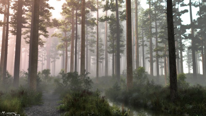 Панорама для 3д Макс лес