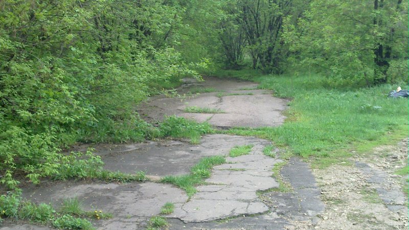 Заросший асфальт