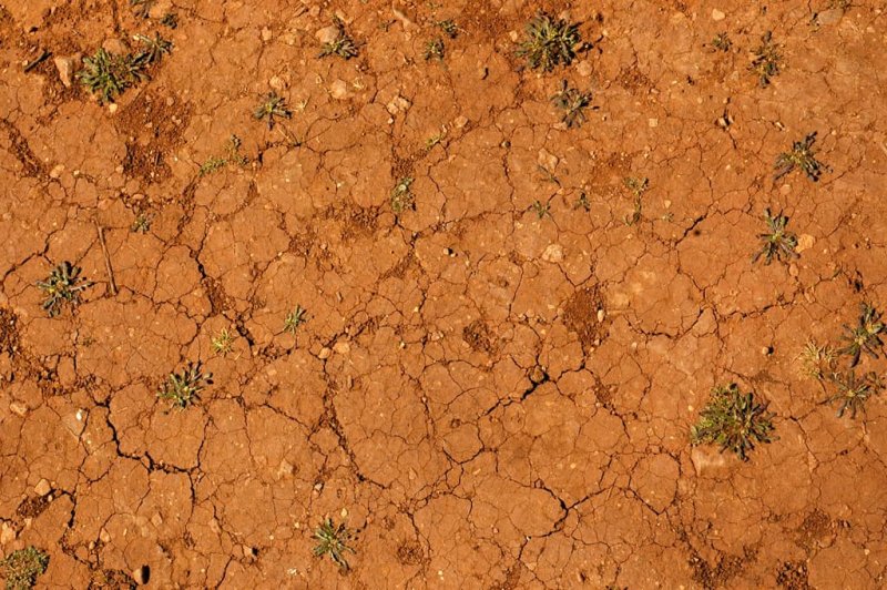 Текстура земли