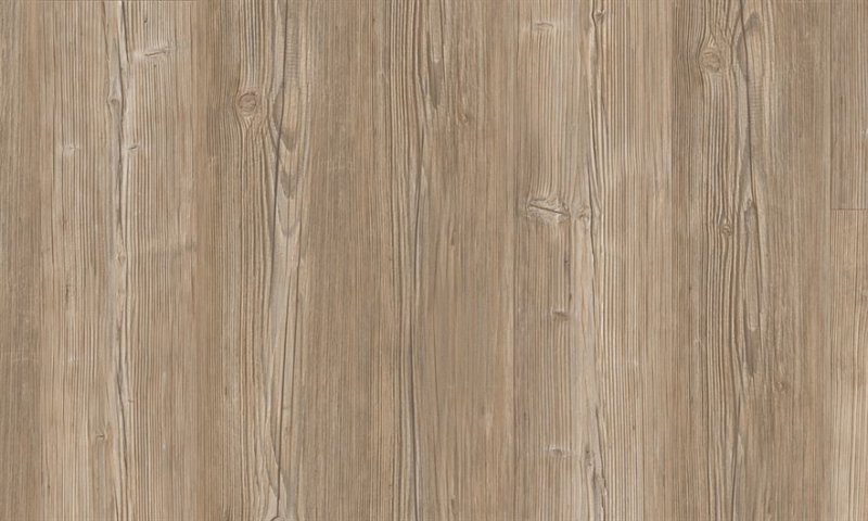 Дуб Канзас Эггер