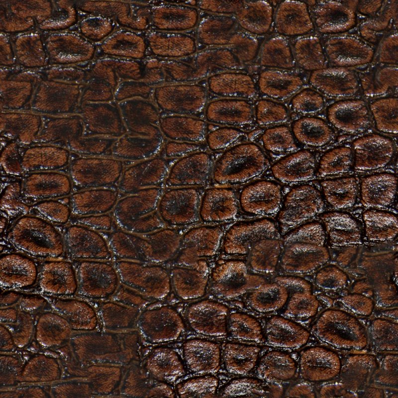 Кожа крокодила текстура