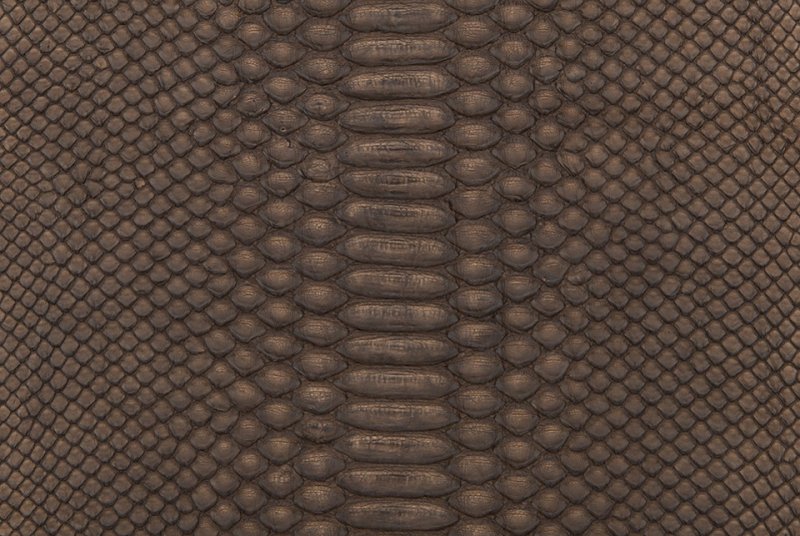 Кожа питона черная