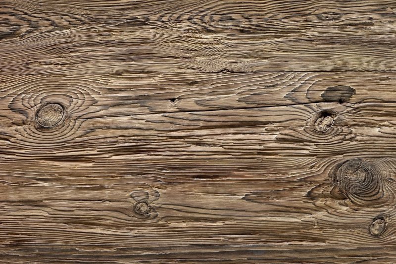 Фактура дерева