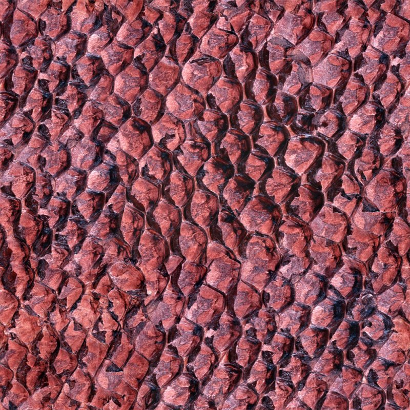 Кожа рептилии текстура