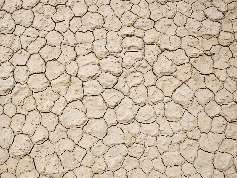 Текстура яичная скорлупа