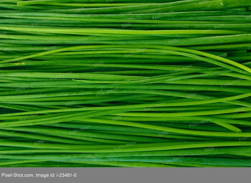 Зеленый лук крупным планом