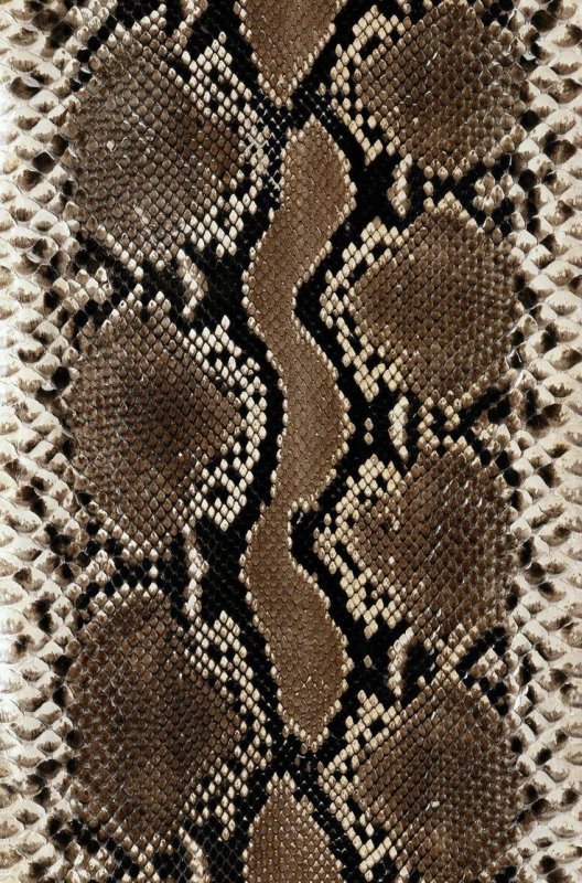 Змеиная кожа питон
