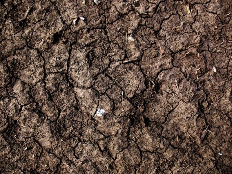 Грунт текстура